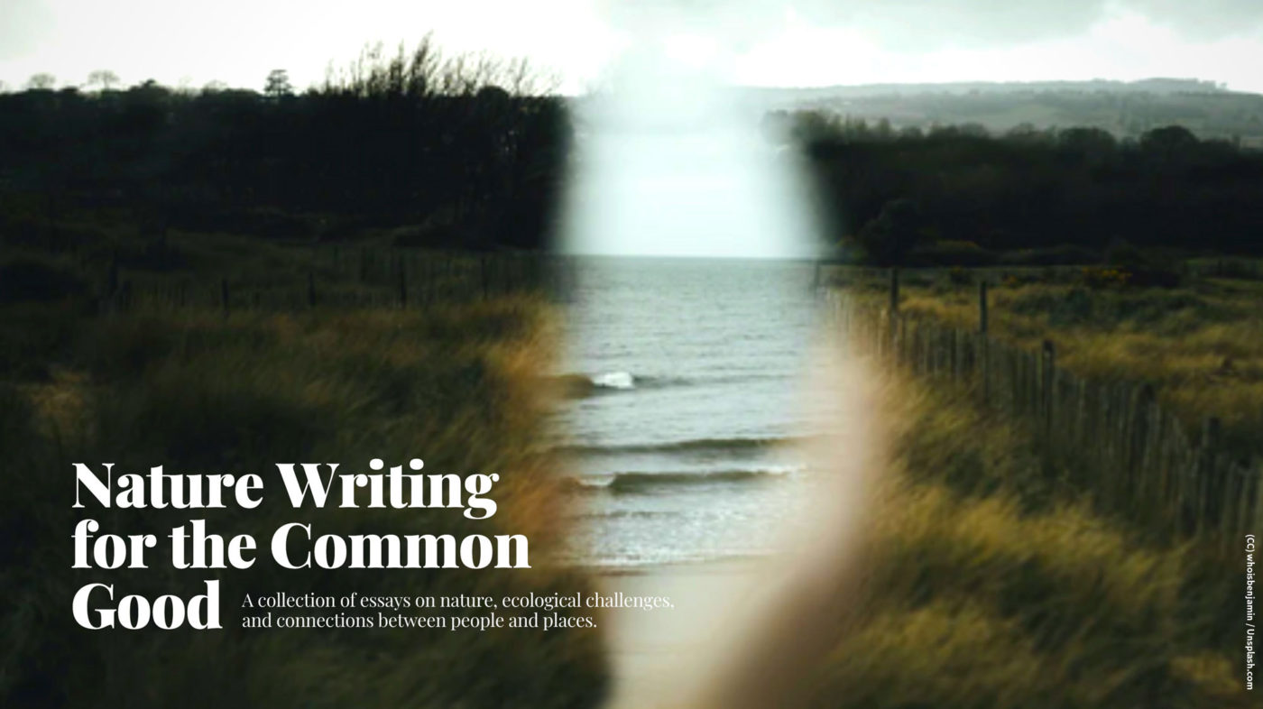 nature writing uk